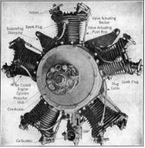 Air-Cat radial