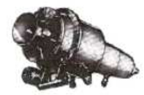 Dreher TJD-79A