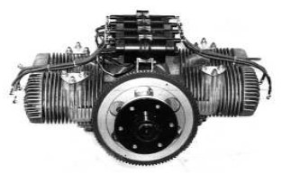 Dumon boxer
