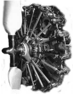 Elizalde Beta cutaway