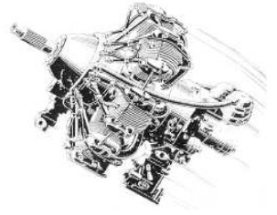 Elizalde Alción A-1