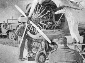 Elizalde Beta B-4 on theTriana