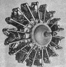 Elizalde Dragón IX