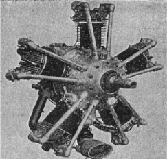 Elizalde Dragón V