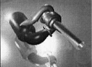 Aiello Fig.3