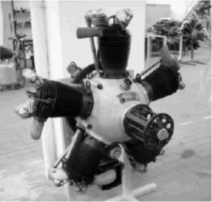 El Farina de referencia T-58
