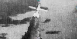 Loon gaining height and speed