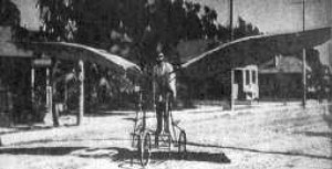 There are also ornithopters without engine