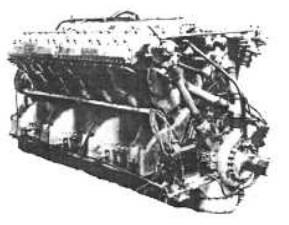 Galloway Tiger