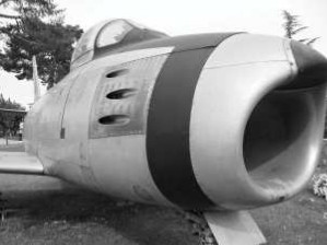 The Sabre teeth
