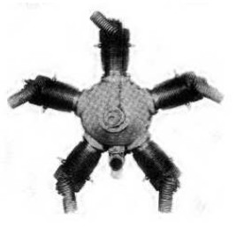 5-cylinder Moore engine fig.3