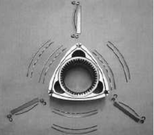 The rotary piston and its segments