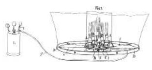 Burners and fuel tank