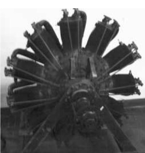 Goebel Goe, Type III, 11 cyl.