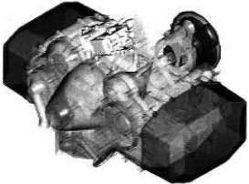 HAE-100