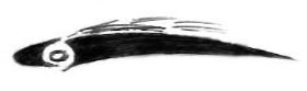 Hayot profile application