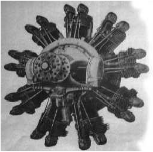 El Alfa D2