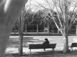 Pegaso Park gardens