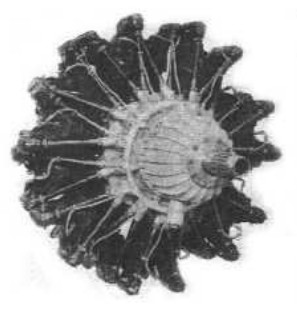 IAR 1000-A