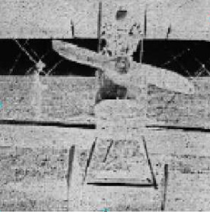 Indian en Flying-Arrow