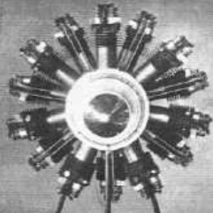 Isaacson 14-cylinder, 100 hp.