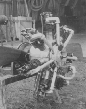 Isaacson radial fijo de 7 cilindros