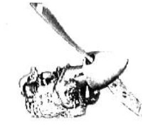 JSC Aviadvigatel