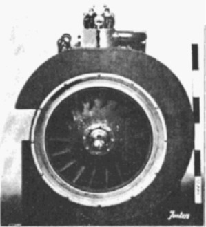 Fan shell, possibly from L-1a
