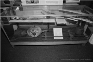 Glass case with remains of an Alvaston two-cylinder engine