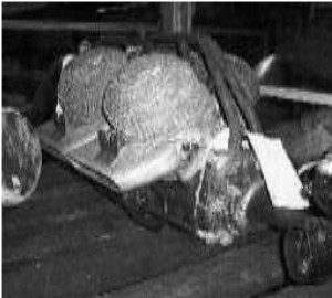 Kiekhaefer V105-2, fig. 1