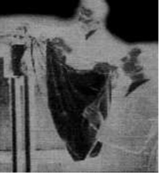 Probe rocket for taking samples