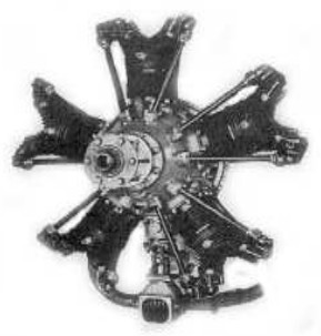 Lenape Brave LM-5