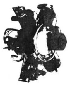 Tiger 100 silhouette