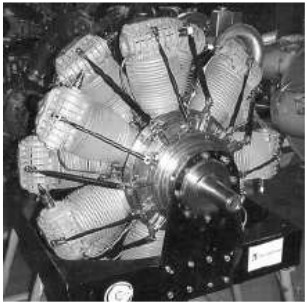 Rotary Staatsmotor