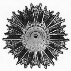 Lorraine-Dietrich 14L radial, Antarés