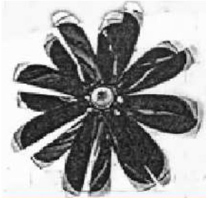 16-blade propeller for Lotarev