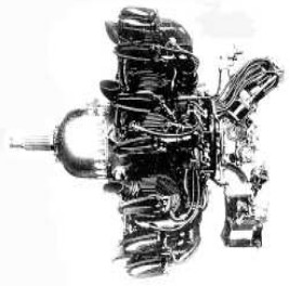 M-75
