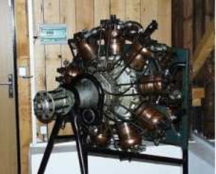 Salmson built by Anatra