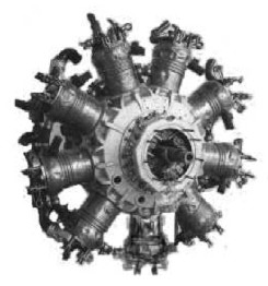 natra-Salmson