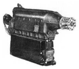 Rover, front view