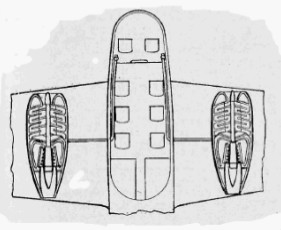 Design of a twin-engine airplane powered by Milo