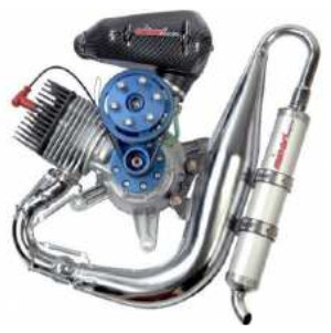 F1, serie AM