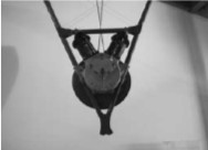 Anzani V2, at the MAE
