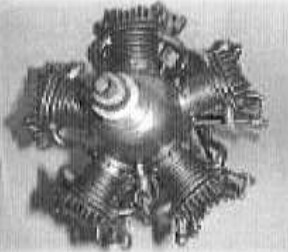 Morton M5 model