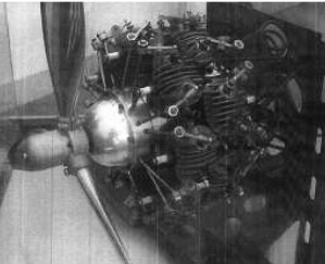 Radial Morton