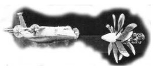 Motor Sich D-27, turboprops