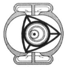The Maillard engine