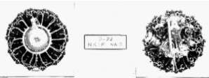 Nakajima D-22