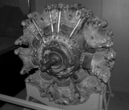 Radial Nakajima Homare