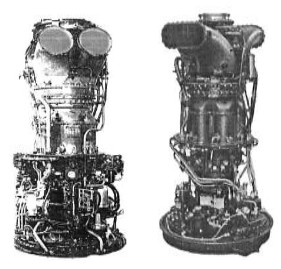 Two Napier Gazelles